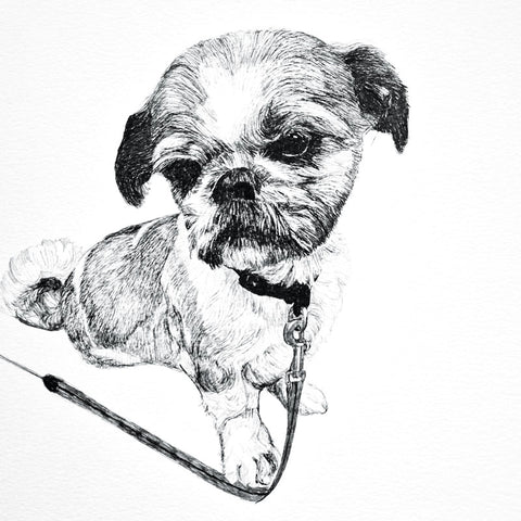 Art Greeting Card by Elizabeth McCrimmon, ink drawing. Black and white image of a border terrier puppy.