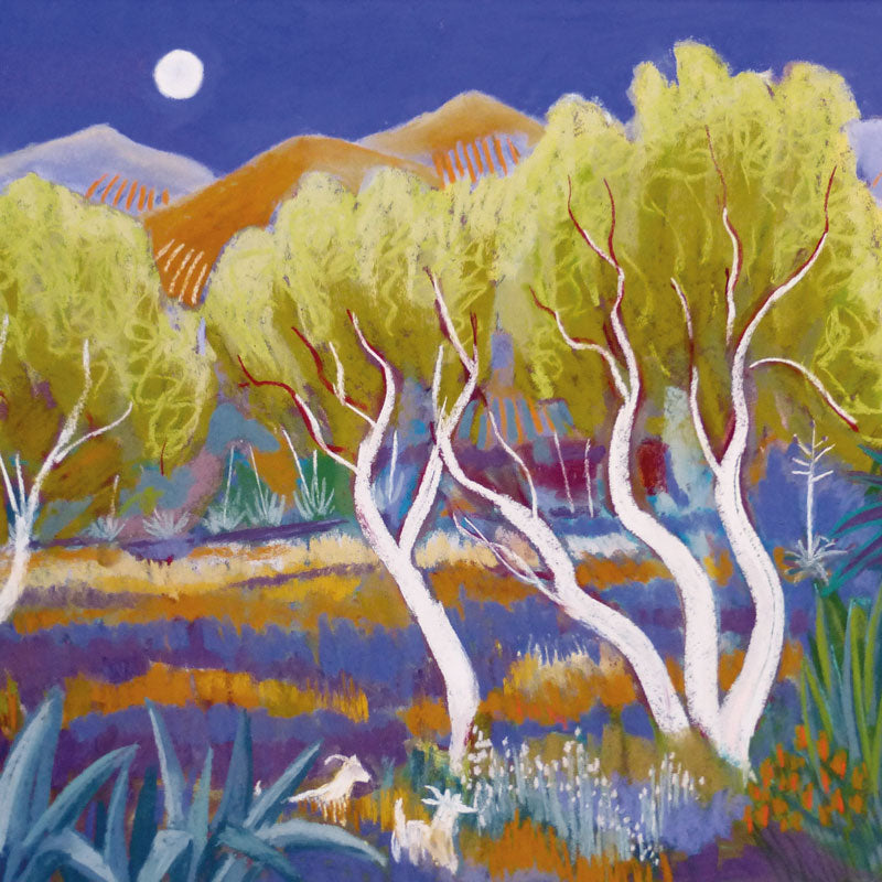 Art greeting card by Sue Campion, pastel. Trees with white trunks in the moonlight with two goats.